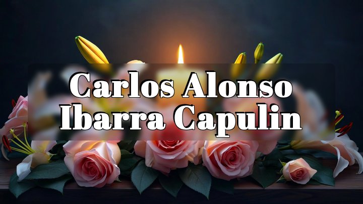 Carlos Alonso Ibarra Capulin, Edinburg, Texas
