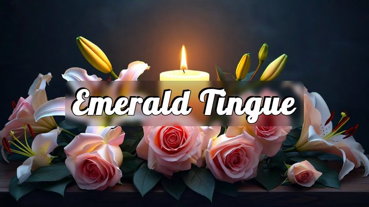 Emerald Tingue, Slinger, Wisconsin