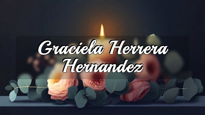 Graciela Herrera Hernandez
