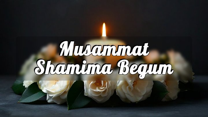 Musammat Shamima Begum, Interstate 270 near Democracy Boulevard, Montgomery County, Maryland