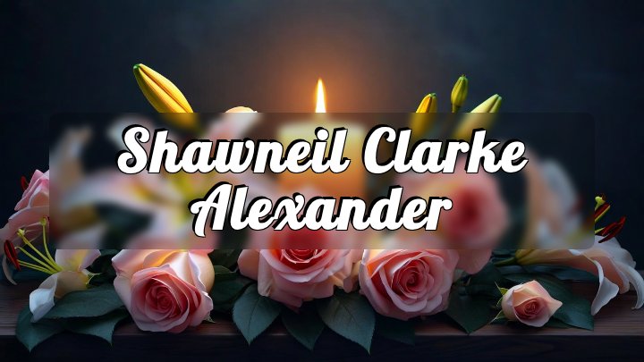 Shawneil Clarke Alexander, Route 7 near Palisades Parkway, Sterling, Virginia